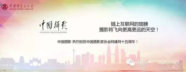 中国摄影家协会网庆15周年生日 感谢十五年有你相随