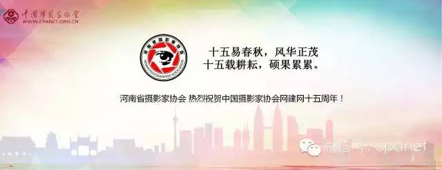 中国摄影家协会网庆15周年生日 感谢十五年有你相随
