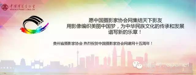 中国摄影家协会网庆15周年生日 感谢十五年有你相随
