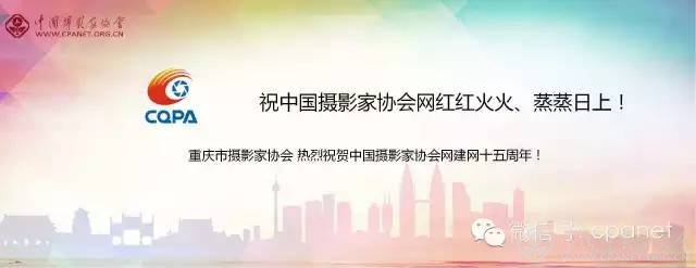 中国摄影家协会网庆15周年生日 感谢十五年有你相随