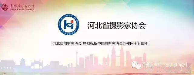 中国摄影家协会网庆15周年生日 感谢十五年有你相随
