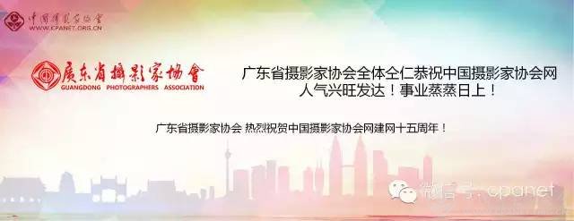 中国摄影家协会网庆15周年生日 感谢十五年有你相随