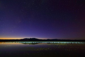 星空下的鸟儿栖息地——拍摄地点:美国