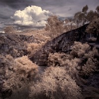 奇景幻象 (11)