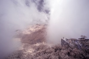 云中的吟唱  (3)