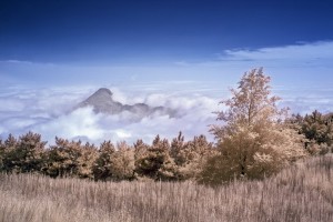 云中的吟唱  (4)