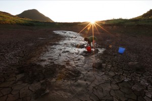 江南干旱——2013年8月13日,浙江省绍兴一山塘水干涸,好心村民将小鱼苗抓起来,养到家中水桶里。