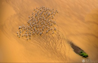 安徽省-孙道玉-闲庭信步