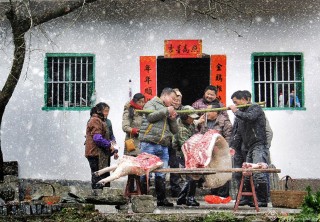 安徽省-翟君玺-瑞雪兆丰年