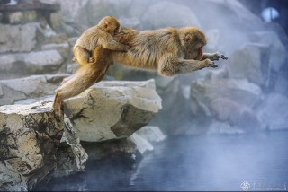 北京市-吕学海-跃