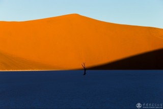 北京市-谢凌-一只独立