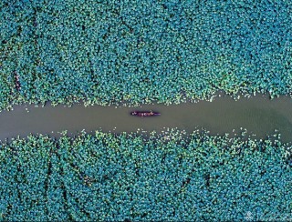 广东省-刘世辉-孤舟