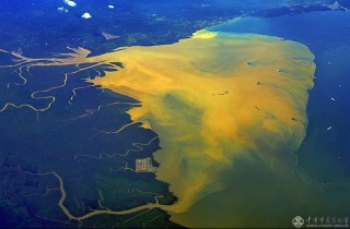 广东省-吴吕明-大海也会“胃溃疡”!