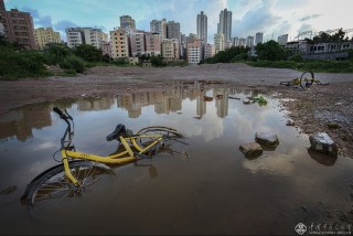 广东省-徐田华-哭泣的共享单车