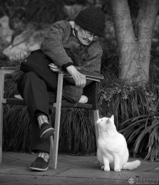 广西壮族自治区-刘志强-老人与猫咪