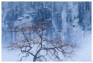 河南省-麻江盟-风光