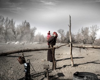 河南省-申云峰-家园