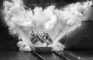 湖北省-田大伟-展翅