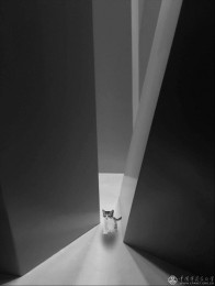 江苏省-曹娟-小花的世界