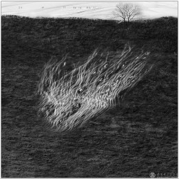 江苏省-冯宝林-流淌的精灵