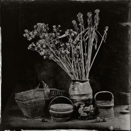 江苏省-谢松-冬至