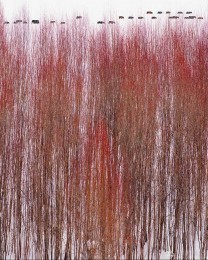 上海市-池海波-红柳