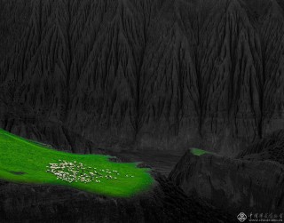 上海市-池海波-峡谷