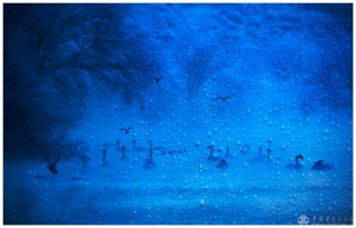 四川省-刘秀-情深雨浓