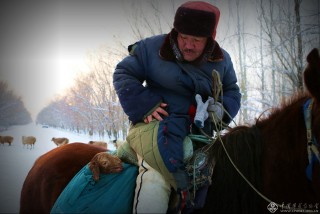 新疆维吾尔自治区-王赟-呵护
