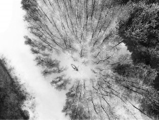 浙江省-陈正林-人与自然的和谐生存