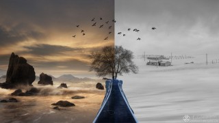 浙江省-池赛怡-向南方