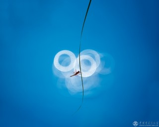 浙江省-王于一-季节的媚眼