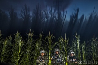 北京市-赵云-猛虎出击 (2)