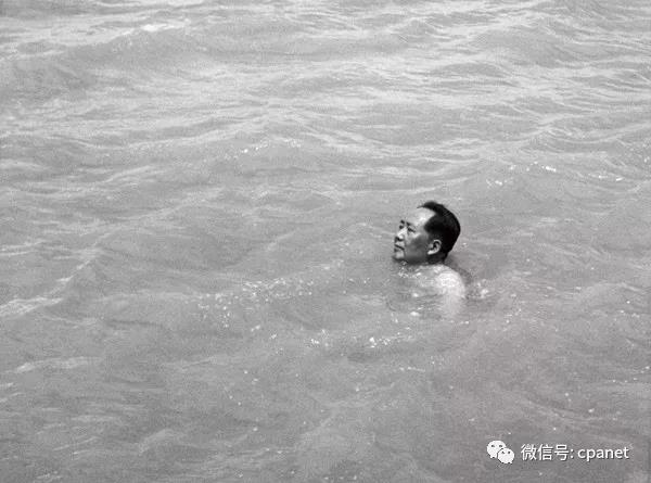 毛泽东畅游长江（1956年）  侯波 摄.jpg