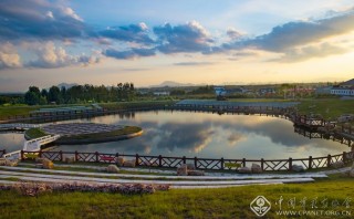 北茶印象 臧继明