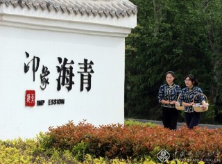 采茶归来 安佰明