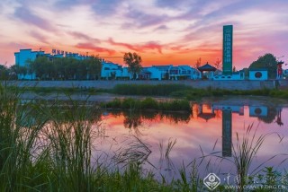 茶博园晨曦 臧继明