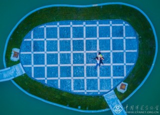 茶乡畅怀 樊豹声