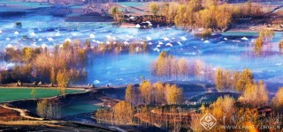 茶乡晨曲 郑良国