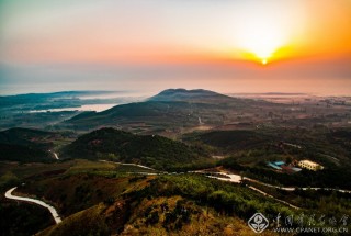 茶乡晨曦 张安才