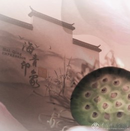 茶乡荷韵 朱春明