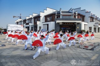 茶乡舞翩跹 张杰