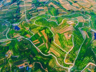 大地作画 李学梅