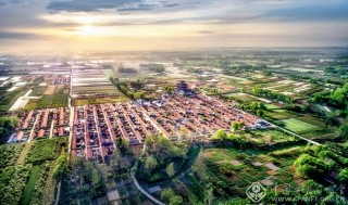 海青晨韵 孙德智