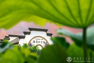 海青欢迎您 霍焱雯