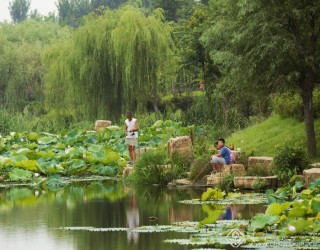 海青人的业余生活 李尧俊