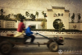 海青印象 柳晓波