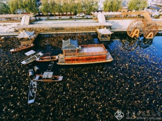 海青镇小景 王立民