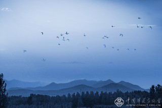 海青之晨 王玉山