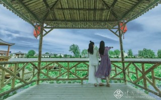 荷塘诗情 樊豹声